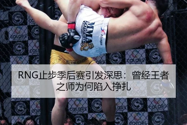 RNG止步季后赛引发深思：曾经王者之师为何陷入挣扎